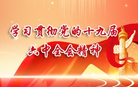 v站体育